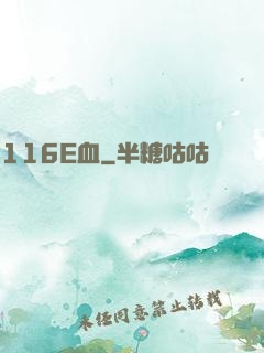 116E血