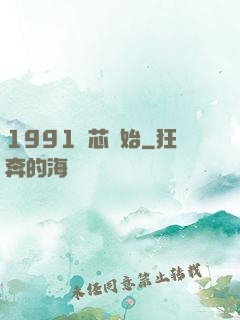 1991從芯開始