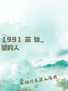 1991從芯開始