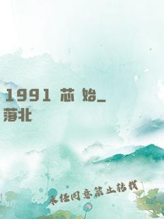 1991從芯開始