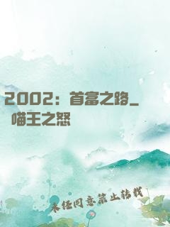 2002：首富之路