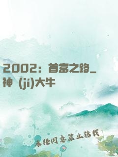 2002：首富之路