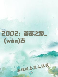 2002：首富之路