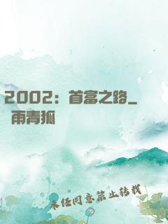 2002：首富之路