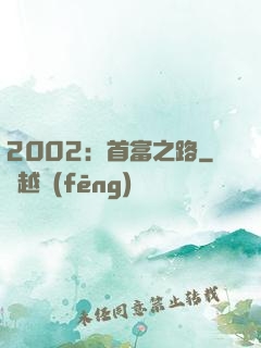 2002：首富之路