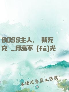 BOSS主人，幫我充充電