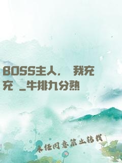 BOSS主人，幫我充充電