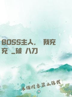 BOSS主人，幫我充充電