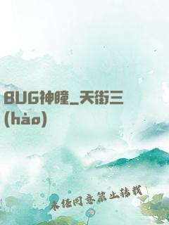 BUG神瞳