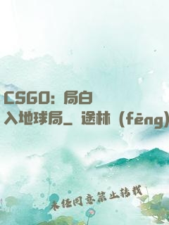CSGO:開局白銀誤入地球局