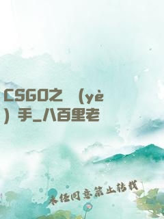 CSGO之職業(yè)選手