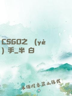 CSGO之職業(yè)選手