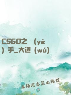 CSGO之職業(yè)選手