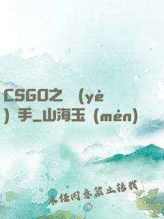 CSGO之職業(yè)選手