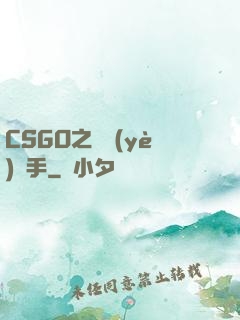 CSGO之職業(yè)選手