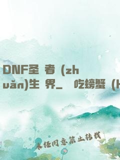 DNF圣職者轉(zhuǎn)生異界