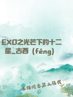 EXO之光芒下的十二顆星