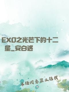 EXO之光芒下的十二顆星