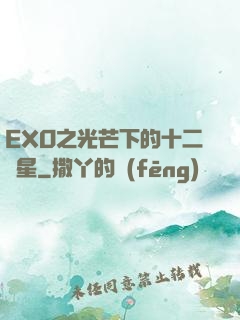 EXO之光芒下的十二顆星