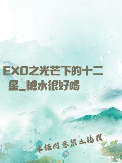 EXO之光芒下的十二顆星