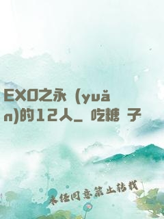 EXO之永遠(yuǎn)的12人