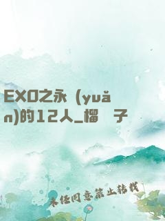 EXO之永遠(yuǎn)的12人