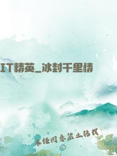 IT精英