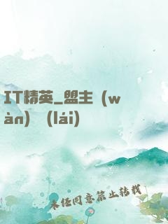 IT精英