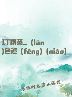 IT精英
