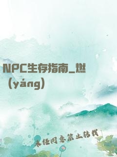NPC生存指南