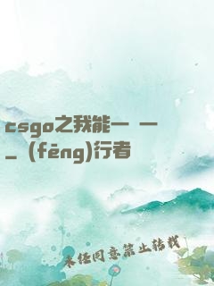 csgo之我能一換一