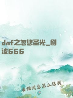 dnf之忽悠圣光