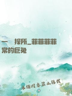一個偵探所