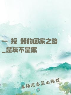 一個探測器的回家之路