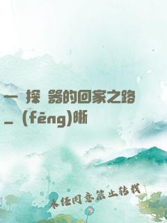 一個探測器的回家之路