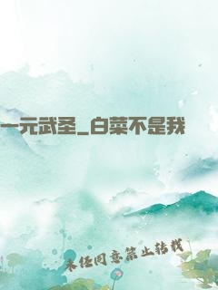一元武圣
