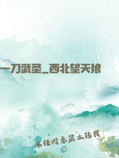 一刀武圣