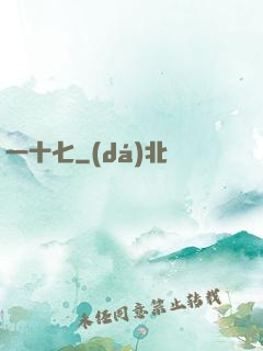 一十七