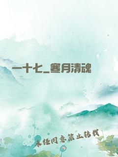一十七
