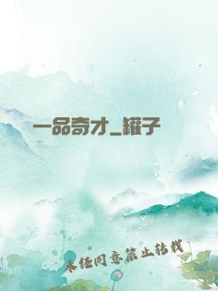 一品奇才