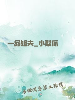 一品姐夫