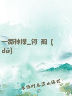 一品神探