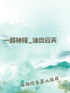 一品神探
