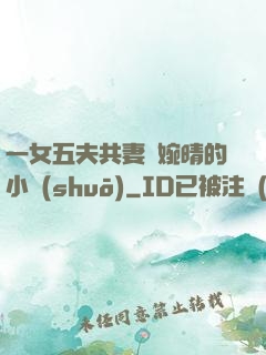 一女五夫共妻蘇婉晴的小說(shuō)