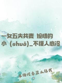 一女五夫共妻蘇婉晴的小說(shuō)