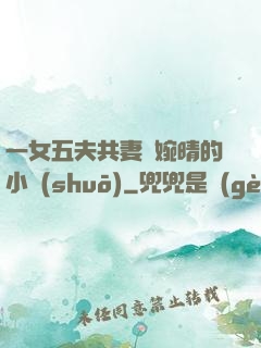 一女五夫共妻蘇婉晴的小說(shuō)