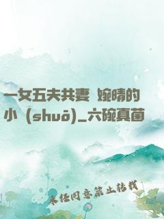 一女五夫共妻蘇婉晴的小說(shuō)