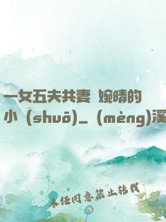 一女五夫共妻蘇婉晴的小說(shuō)