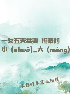 一女五夫共妻蘇婉晴的小說(shuō)