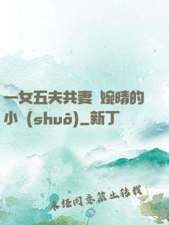 一女五夫共妻蘇婉晴的小說(shuō)